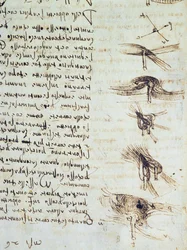 Diagrammes scientifiques, du Codex Leicester, 1508-12 (détail)